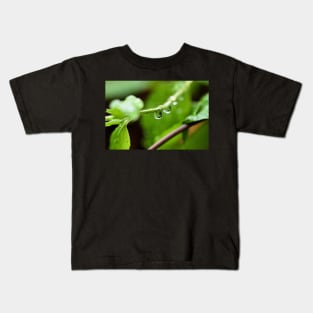 Shiny dew drop with image of a leaf Kids T-Shirt